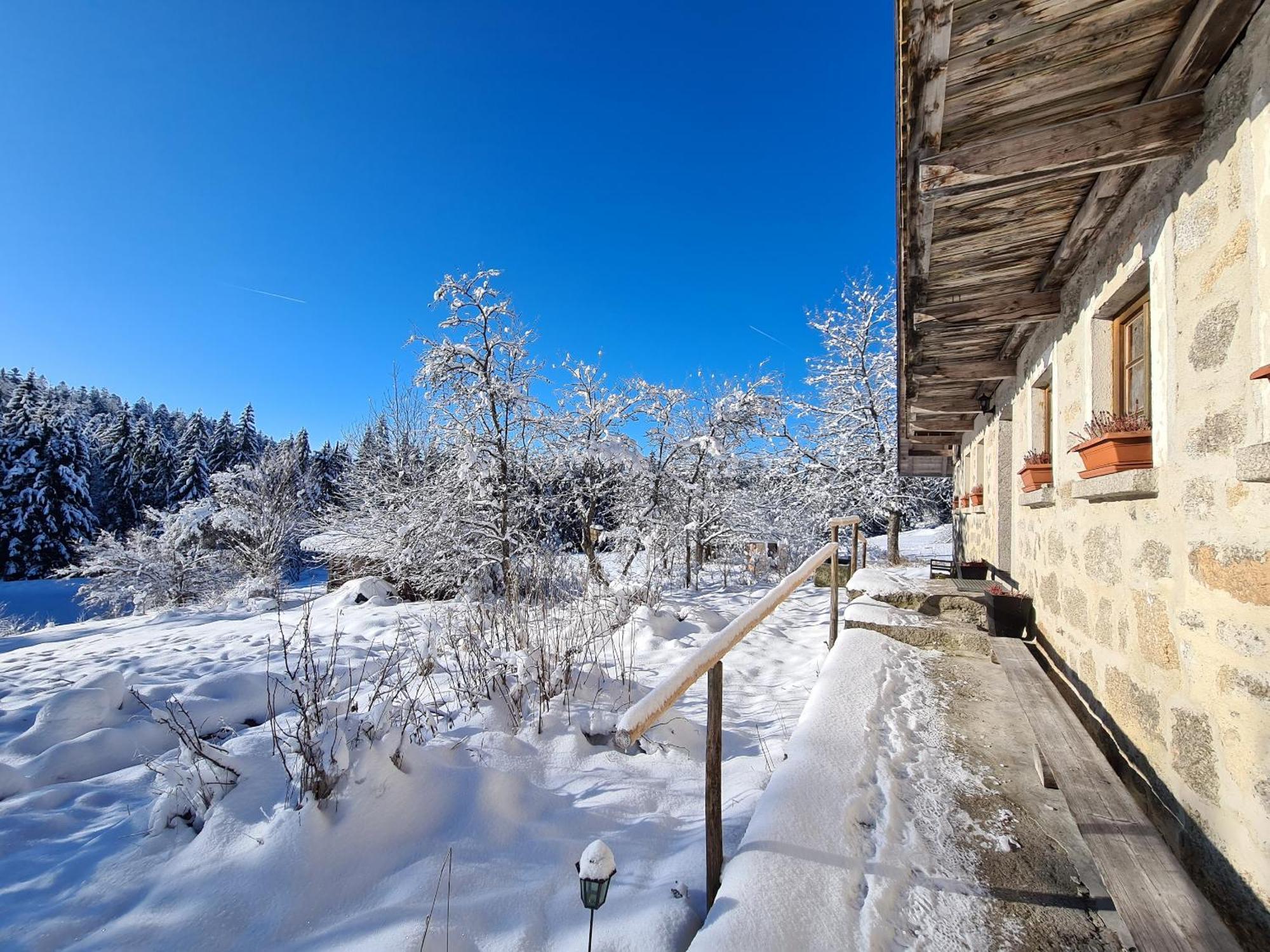 Ferienhaus Klause Neureichenau Eksteriør billede